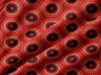 Crimson Ember Sunburst