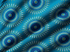Lagoon Jewel Radiance