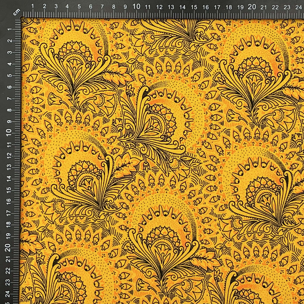 Marigold Sunfire Plume