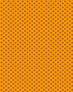 Marigold Sunfire Moonlight