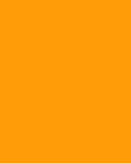 Marigold Foundation